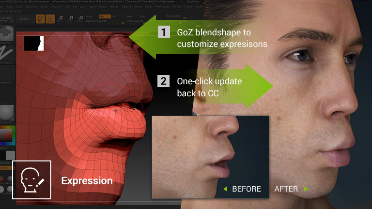 GoZ Plus Character Creator ZBrush Workflow Character Creator