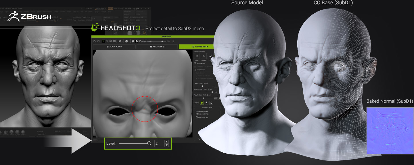 Mesh wrapped to SubD-1 subdivision level — balanced geometry suitable for general production use