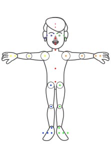 create cartoon character - human bone