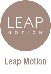 hand mocap animation - solution leap motion