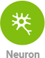 Neuron