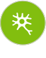 Neuron